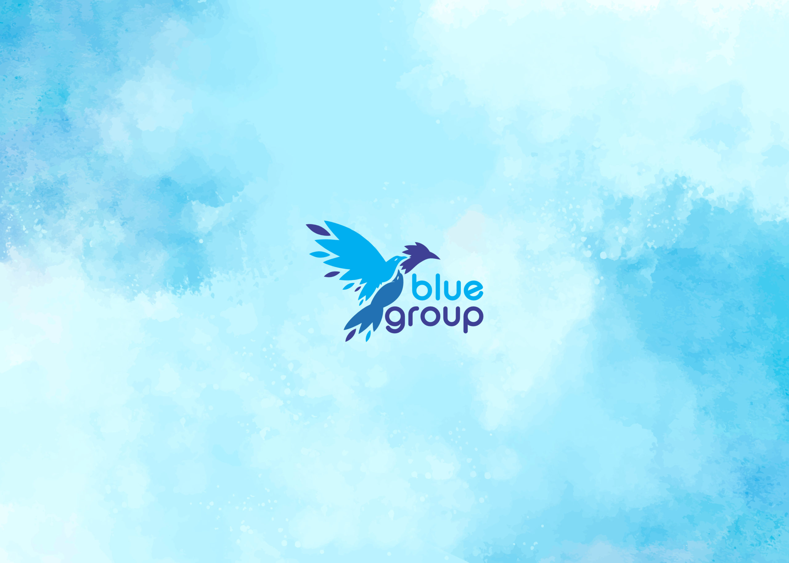 Blue Group Graphics & Web Design Pro